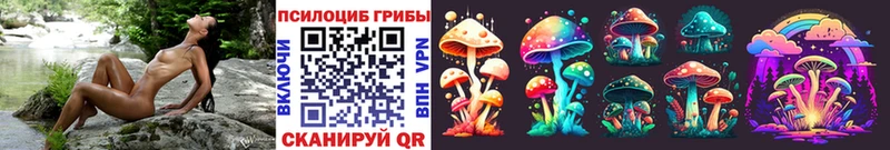 Купить где  Семилуки  Псилоцибиновые грибы прущие грибы 